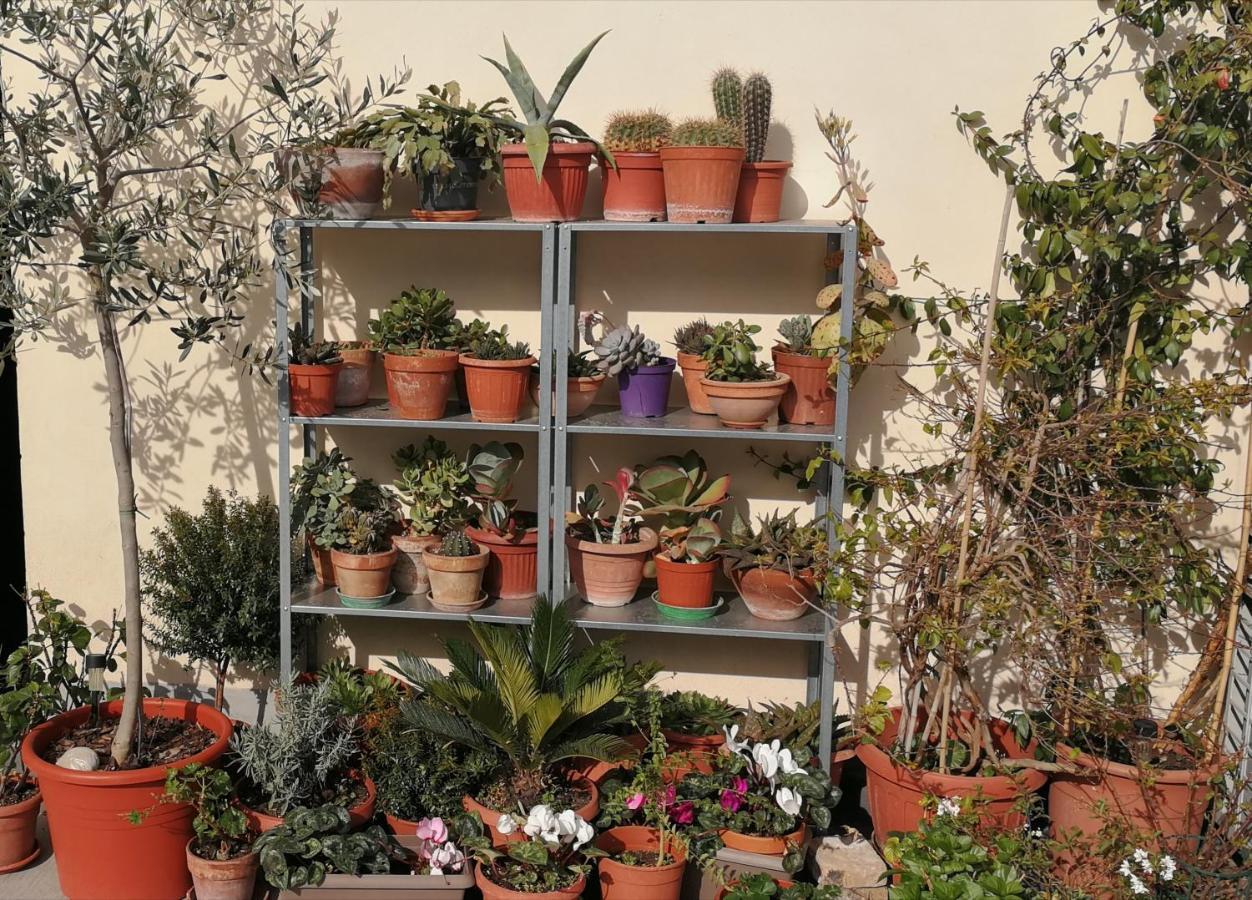 Casa Di Ele Gasthuis *